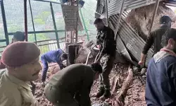 कटरा-वैष्णो देवी मार्ग पर बड़ा हादसा, अर्धकुंवारी में भूस्खलन से 5 श्रद्धालुओं की मौत, 14 घायल कटरा-वैष्णो देवी मार्ग पर बड़ा हादसा, अर्धकुंवारी में भूस्खलन से 5 श्रद्धालुओं की मौत, 14 घायल