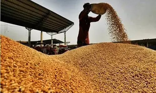 केंद्र सरकार ने कीमतों पर नियंत्रण के लिए गेहूं की स्टॉक सीमा घटाई