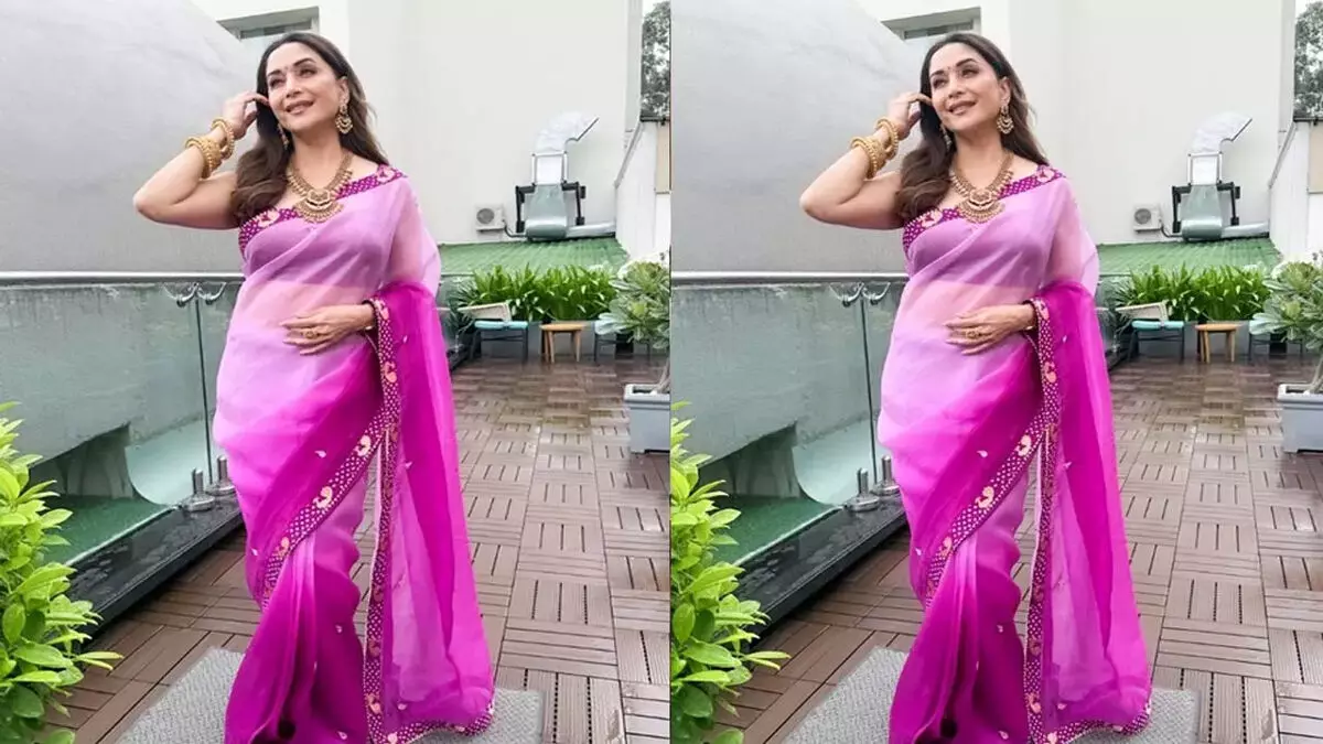 डांसिंग क्वीन माधुरी ने लगाया ग्लैमर का तड़का, पर्पल साड़ी में शेयर की तस्वीरें