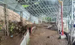 वैष्णो देवी मार्ग पर भूस्खलन हादसे की जांच कमेटी गठित, दो हफ्ते में रिपोर्ट सौंपने के निर्देश