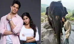 जान्हवी कपूर ने परम सुंदरी के सेट से शेयर की अनदेखी तस्वीरें जान्हवी कपूर ने परम सुंदरी के सेट से शेयर की अनदेखी तस्वीरें