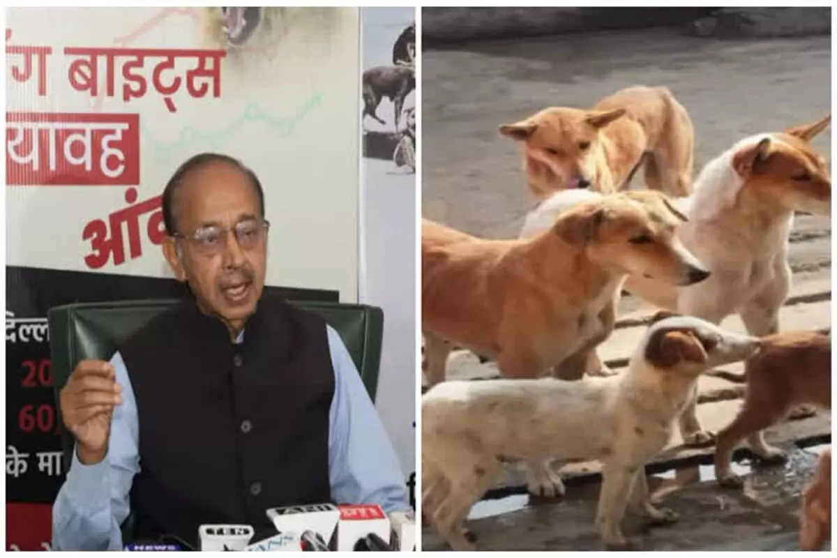 दिल्ली में आवारा कुत्तों पर चिंता, विजय गोयल ने उठाया जन-स्वास्थ्य का मुद्दा