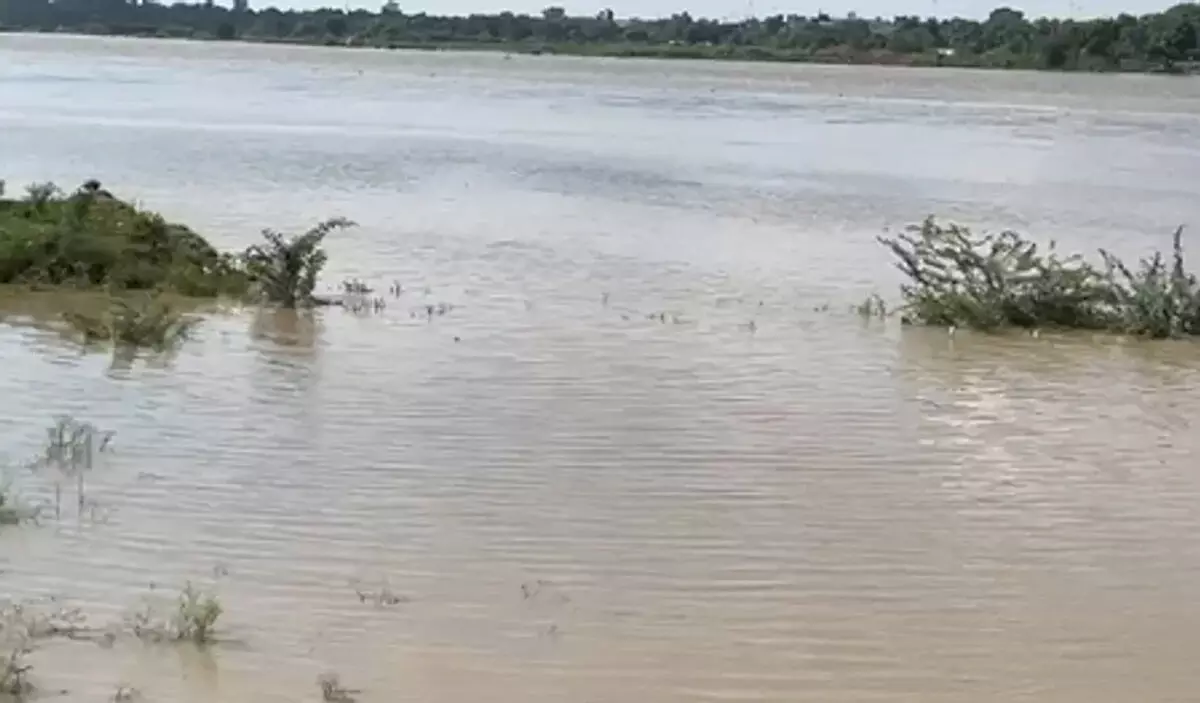 नोएडा में बाढ़ का अलर्ट, लोगों से सुरक्षित स्थानों पर जाने की अपील