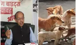 दिल्ली में आवारा कुत्तों पर चिंता, विजय गोयल ने उठाया जन-स्वास्थ्य का मुद्दा