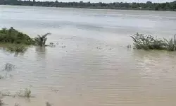 नोएडा में बाढ़ का अलर्ट, लोगों से सुरक्षित स्थानों पर जाने की अपील नोएडा में बाढ़ का अलर्ट, लोगों से सुरक्षित स्थानों पर जाने की अपील