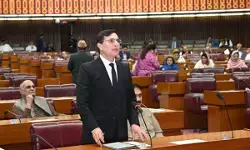 इमरान खान की पार्टी का नेशनल असेंबली सत्रों से बहिष्कार का फैसला