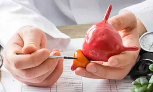 पुरुषों में बढ़ रहा प्रोस्टेट कैंसर, जानिए क्या है यह बीमारी और इसके शुरुआती लक्षण पुरुषों में बढ़ रहा प्रोस्टेट कैंसर, जानिए क्या है यह बीमारी और इसके शुरुआती लक्षण