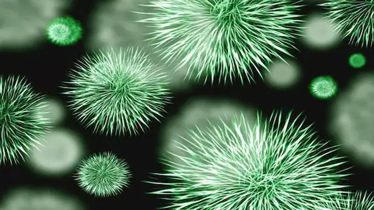 शहर की हवा में घूम रहे हैं फेफड़ों, आंतों और त्वचा में संक्रमण फैलाने वाले बैक्टीरिया शहर की हवा में घूम रहे हैं फेफड़ों, आंतों और त्वचा में संक्रमण फैलाने वाले बैक्टीरिया