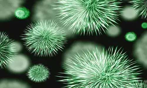 शहर की हवा में घूम रहे हैं फेफड़ों, आंतों और त्वचा में संक्रमण फैलाने वाले बैक्टीरिया