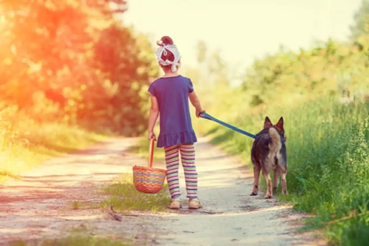 कुत्ते से बात करते हुए कुत्ते से बात करते हुए