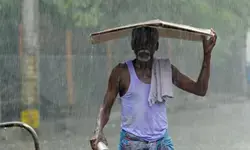 तमिलनाडु के कई जिलों में भारी बारिश का पूर्वानुमान, विभाग ने जारी किया अलर्ट