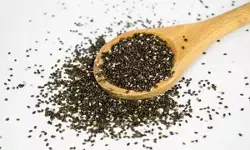 डायबिटीज-कैंसर जैसी खतरनाक बीमारियों से लड़ने में मददगार चिया बीज, छोटे बीज में छिपी बड़ी ताकत डायबिटीज-कैंसर जैसी खतरनाक बीमारियों से लड़ने में मददगार चिया बीज, छोटे बीज में छिपी बड़ी ताकत