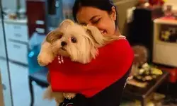 चहल से तलाक पर बोलीं धनश्री वर्मा, मैंने अपमान का जवाब अपमान से नहीं दिया