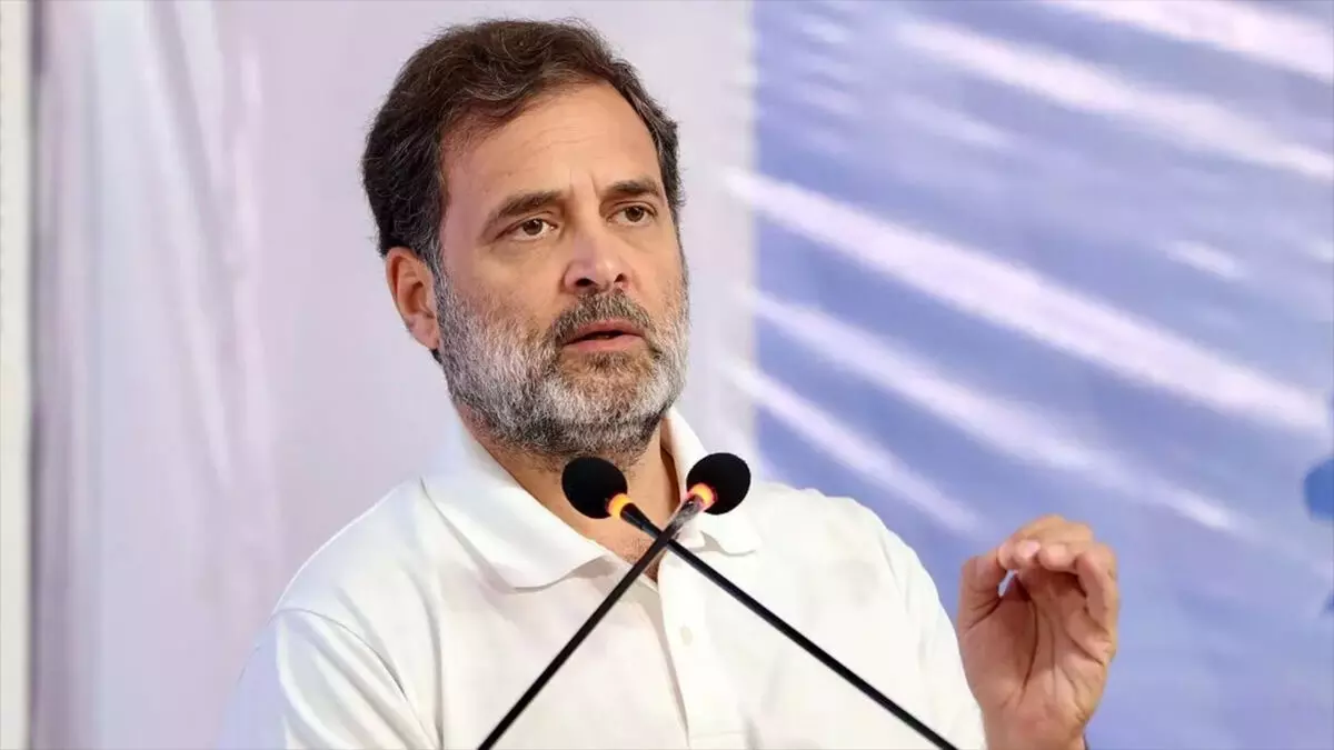 वोट चोरी पकड़े जाने से भाजपा डिस्टर्ब हैं : राहुल गांधी