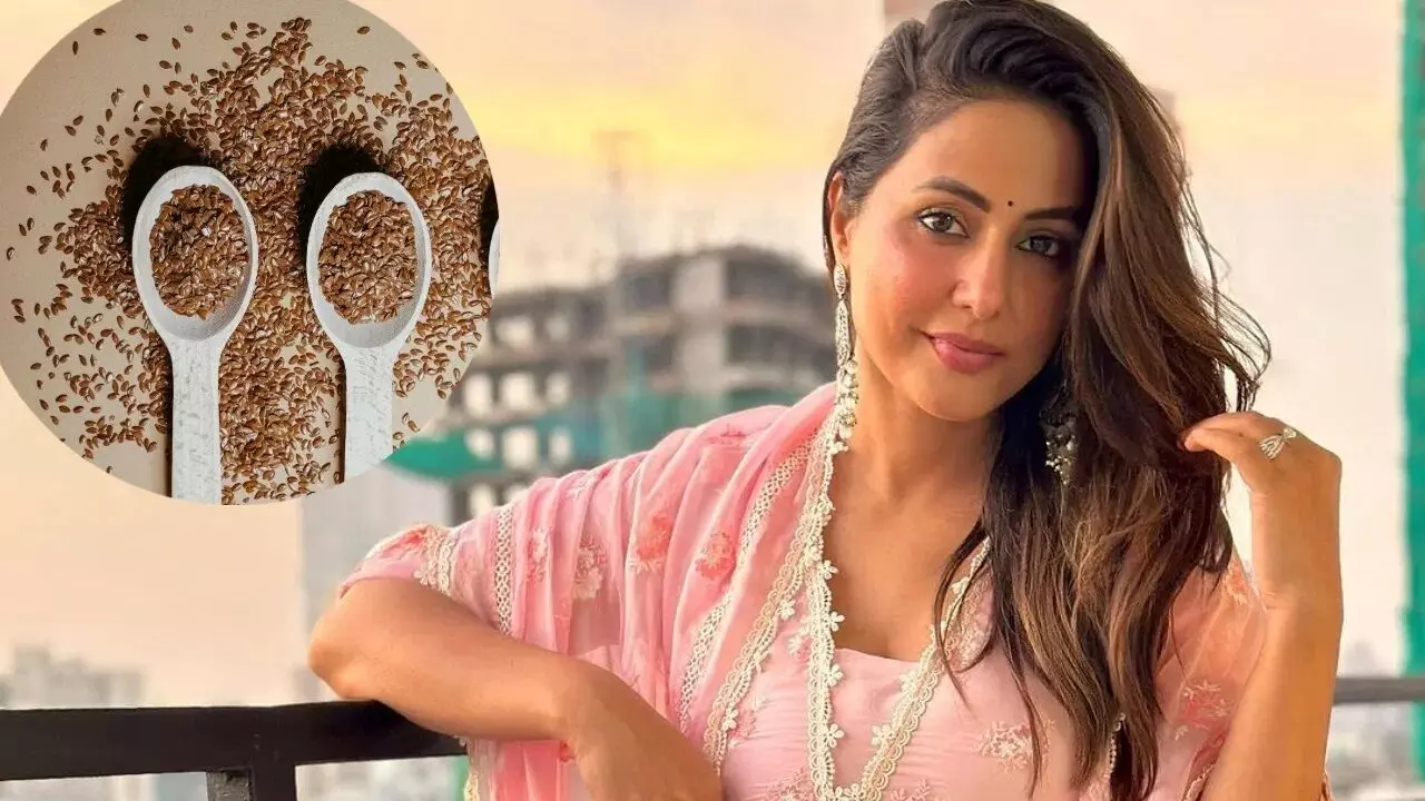 रूखे और बेजान बालों के लिए सबसे कारगर अलसी के बीज, जानिए कैसे रूखे और बेजान बालों के लिए सबसे कारगर अलसी के बीज, जानिए कैसे