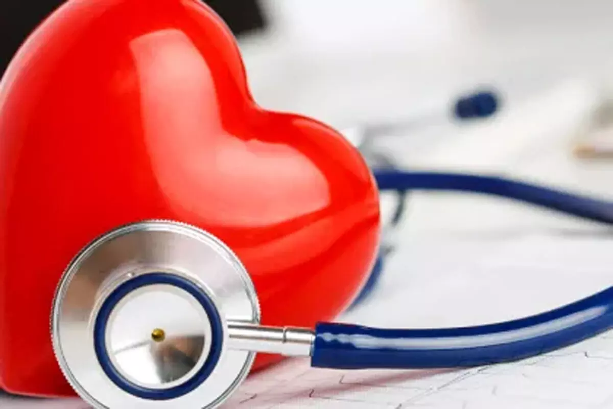 एक शरीर में बसते हैं दो दिल! दूसरे का भी ख्याल रखना जरूरी एक शरीर में बसते हैं दो दिल! दूसरे का भी ख्याल रखना जरूरी