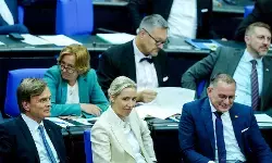 स्थानीय निकाय चुनावों में धुर दक्षिणपंथी पार्टी एएफडी को मिलेगी सफलता?