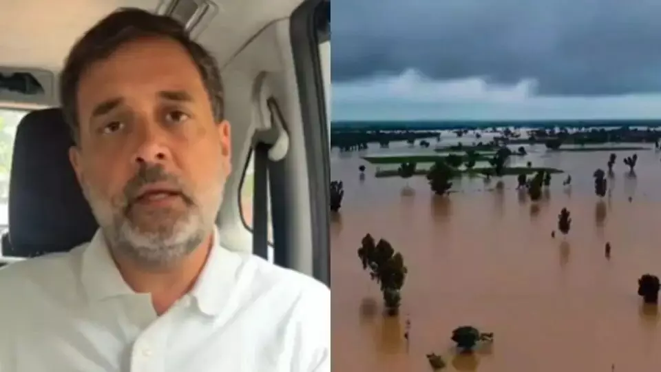 राहुल गांधी 15 सितंबर को जाएंगे पंजाब, बाढ़ पीड़ितों से करेंगे मुलाकात