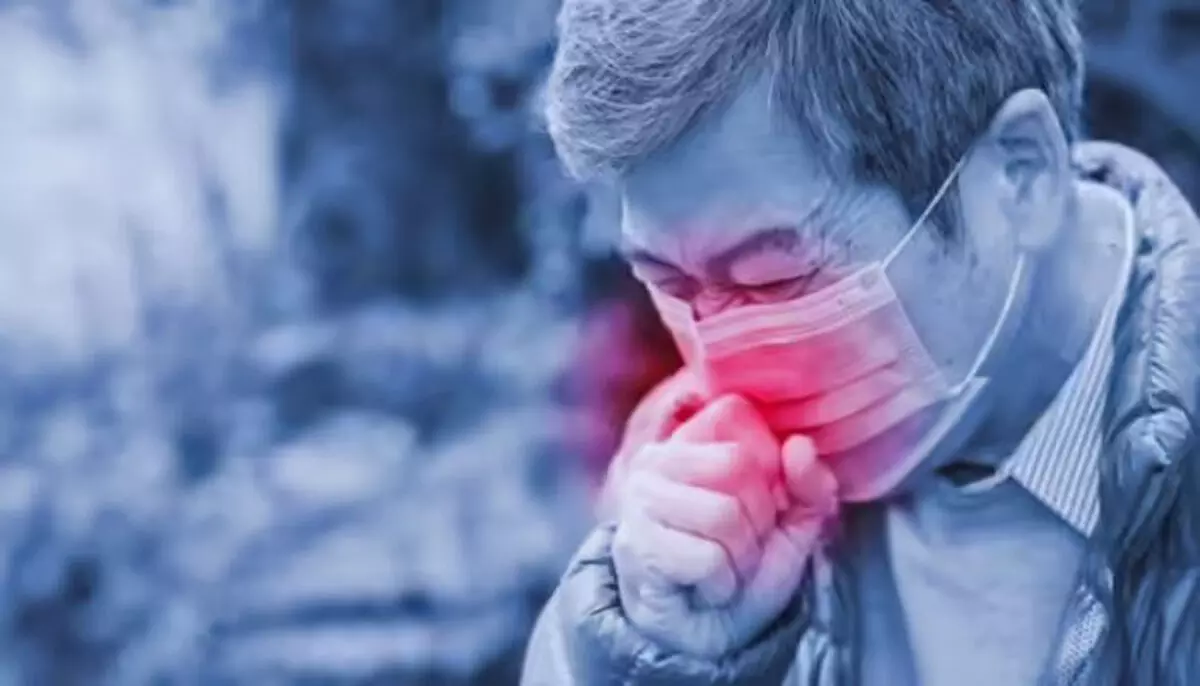 दिल्ली-एनसीआर में तेजी से बढ़ रहे एच3एन2 के मामले, विशेषज्ञों ने बदलते मौसम को बताया जिम्मेदार