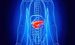 छोटा-सा अंग, बड़ा काम! जानिए कैसे अग्न्याशय कंट्रोल करता है डायबिटीज़ और पाचन