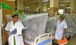 बांग्लादेश : डेंगू से छह ने गंवाई जान, 2025 में मृतकों की संख्या बढ़कर हुई 167