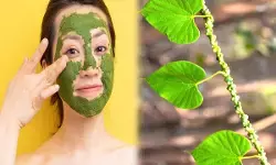 ब्यूटी टिप्स : बेदाग चेहरे के लिए अपनाएं गिलोय, स्किन को रखेगा हाइड्रेट और हेल्दी ब्यूटी टिप्स : बेदाग चेहरे के लिए अपनाएं गिलोय, स्किन को रखेगा हाइड्रेट और हेल्दी