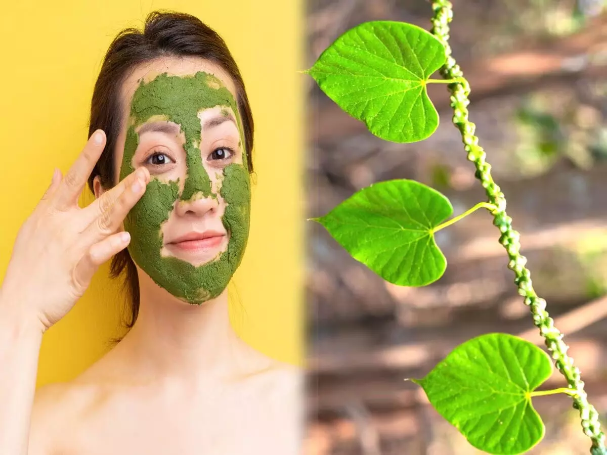 ब्यूटी टिप्स : बेदाग चेहरे के लिए अपनाएं गिलोय, स्किन को रखेगा हाइड्रेट और हेल्दी ब्यूटी टिप्स : बेदाग चेहरे के लिए अपनाएं गिलोय, स्किन को रखेगा हाइड्रेट और हेल्दी