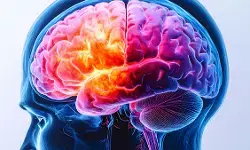 वैस्कुलर डिमेंशिया एक बड़ी समस्या, माइक्रोप्लास्टिक्स से दिमाग को पहुंचा नुकसान : अध्ययन