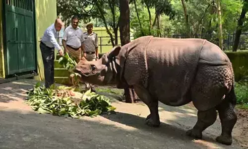 पटना चिड़ियाघर बना गैंडा संरक्षण का केंद्र, विश्व में दूसरा स्थान पटना चिड़ियाघर बना गैंडा संरक्षण का केंद्र, विश्व में दूसरा स्थान