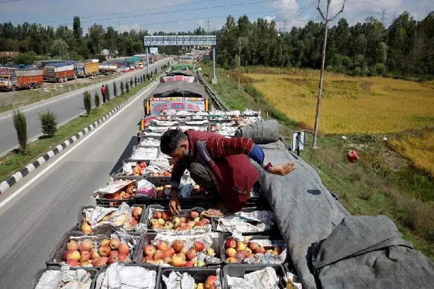 श्रीनगर-जम्मू राष्ट्रीय राजमार्ग के बार-बार बंद होने और कोल्ड स्टोरेज के चलते सेब उत्पादक अपना माल औने पौने दाम पर बेचने को मजबूर