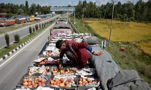 श्रीनगर-जम्मू राष्ट्रीय राजमार्ग के बार-बार बंद होने और कोल्ड स्टोरेज के चलते सेब उत्पादक अपना माल औने पौने दाम पर बेचने को मजबूर