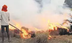 पंजाब में पराली जलाने के 70 मामले, 20 किसानों पर एफआईआर