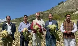 हिमाचल प्रदेश : लाहौल दौरे पर जयराम ठाकुर, आपदा राहत और प्रशासन पर उठाए सवाल हिमाचल प्रदेश : लाहौल दौरे पर जयराम ठाकुर, आपदा राहत और प्रशासन पर उठाए सवाल