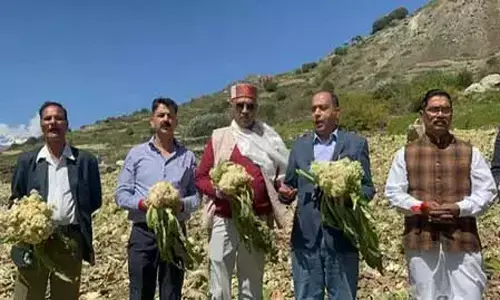 हिमाचल प्रदेश : लाहौल दौरे पर जयराम ठाकुर, आपदा राहत और प्रशासन पर उठाए सवाल