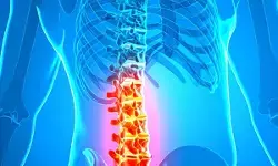 इम्युनिटी से ब्लड ग्रुप तक, सब कुछ तय करता है बोन मैरो! जानें क्यों है सबसे खास