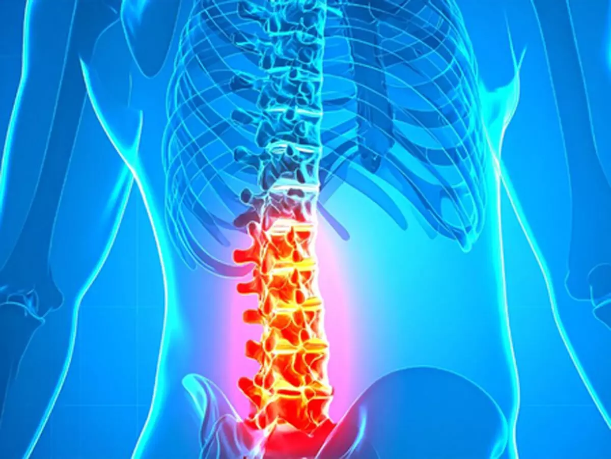 इम्युनिटी से ब्लड ग्रुप तक, सब कुछ तय करता है बोन मैरो! जानें क्यों है सबसे खास इम्युनिटी से ब्लड ग्रुप तक, सब कुछ तय करता है बोन मैरो! जानें क्यों है सबसे खास