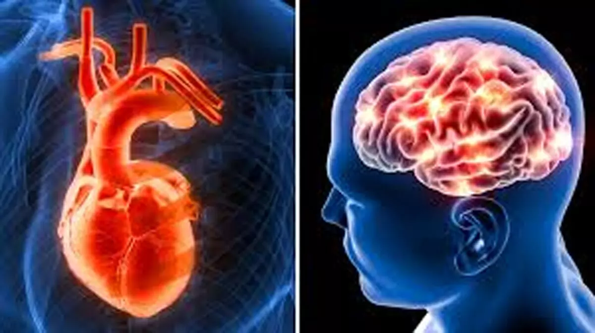 दिमाग से ज्यादा शक्तिशाली होता है दिल, रखें खास तरीके से ध्यान