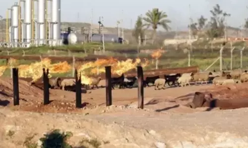 इराक ने कुर्दिस्तान से फिर शुरू किया तेल निर्यात, करीब ढाई साल बाद हटा निलंबन