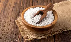 सिर्फ उपवास का साथी नहीं, सेहत का भी खजाना है साबूदाना! जानिए क्या कहता है आयुर्वेद सिर्फ उपवास का साथी नहीं, सेहत का भी खजाना है साबूदाना! जानिए क्या कहता है आयुर्वेद