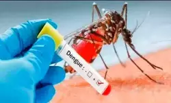 बांग्लादेश में डेंगू का कहर जारी : 24 घंटे में 3 मौतें, 556 नए मरीज बांग्लादेश में डेंगू का कहर जारी : 24 घंटे में 3 मौतें, 556 नए मरीज