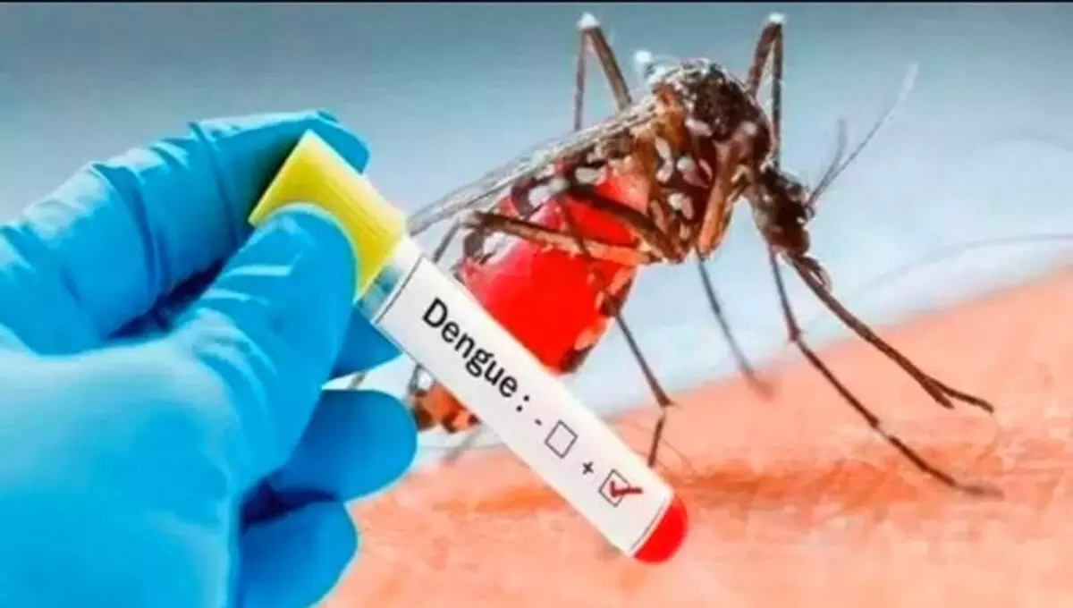 बांग्लादेश में डेंगू का कहर जारी : 24 घंटे में 3 मौतें, 556 नए मरीज बांग्लादेश में डेंगू का कहर जारी : 24 घंटे में 3 मौतें, 556 नए मरीज