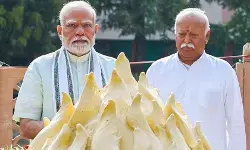 आरएसएस के 100 साल: सबसे बड़ा सवाल, यह कैसा संगठन है