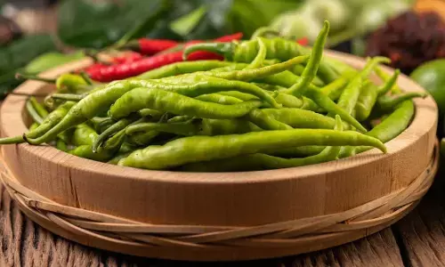 हरी मिर्च सिर्फ तीखापन नहीं बढ़ाता, बीमारियों से भी बचाता है, जानें क्या है इसके फायदेमंद