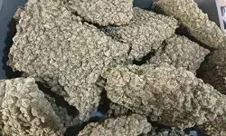 मुंबई एयरपोर्ट पर कस्टम्स की बड़ी कार्रवाई, 5.8 करोड़ के ड्रग्स बरामद