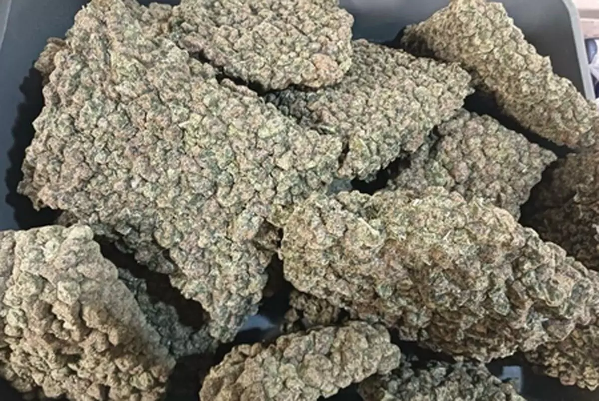 मुंबई एयरपोर्ट पर कस्टम्स की बड़ी कार्रवाई, 5.8 करोड़ के ड्रग्स बरामद मुंबई एयरपोर्ट पर कस्टम्स की बड़ी कार्रवाई, 5.8 करोड़ के ड्रग्स बरामद