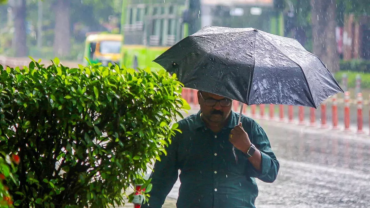 दिल्ली-एनसीआर में मौसम का मिजाज बदला, झमाझम बारिश से तापमान में गिरावट दिल्ली-एनसीआर में मौसम का मिजाज बदला, झमाझम बारिश से तापमान में गिरावट