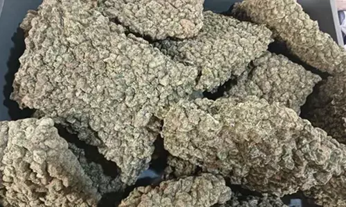 मुंबई एयरपोर्ट पर कस्टम्स की बड़ी कार्रवाई, 5.8 करोड़ के ड्रग्स बरामद मुंबई एयरपोर्ट पर कस्टम्स की बड़ी कार्रवाई, 5.8 करोड़ के ड्रग्स बरामद