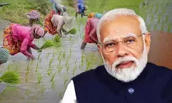 11 अक्टूबर को पीएम मोदी करेंगे धन-धान्य कृषि योजना और दलहन आत्मनिर्भरता मिशन का शुभारंभ