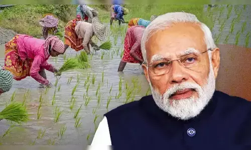 11 अक्टूबर को पीएम मोदी करेंगे धन-धान्य कृषि योजना और दलहन आत्मनिर्भरता मिशन का शुभारंभ 11 अक्टूबर को पीएम मोदी करेंगे धन-धान्य कृषि योजना और दलहन आत्मनिर्भरता मिशन का शुभारंभ