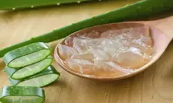 डायबिटीज से लेकर डाइजेशन तक, एलोवेरा है सेहत के लिए बेहद लाभकारी